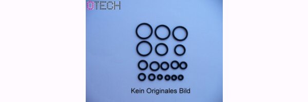 O-Ringe/ Kits