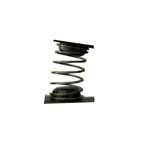 Box Rotor Retainer Feder/Spring